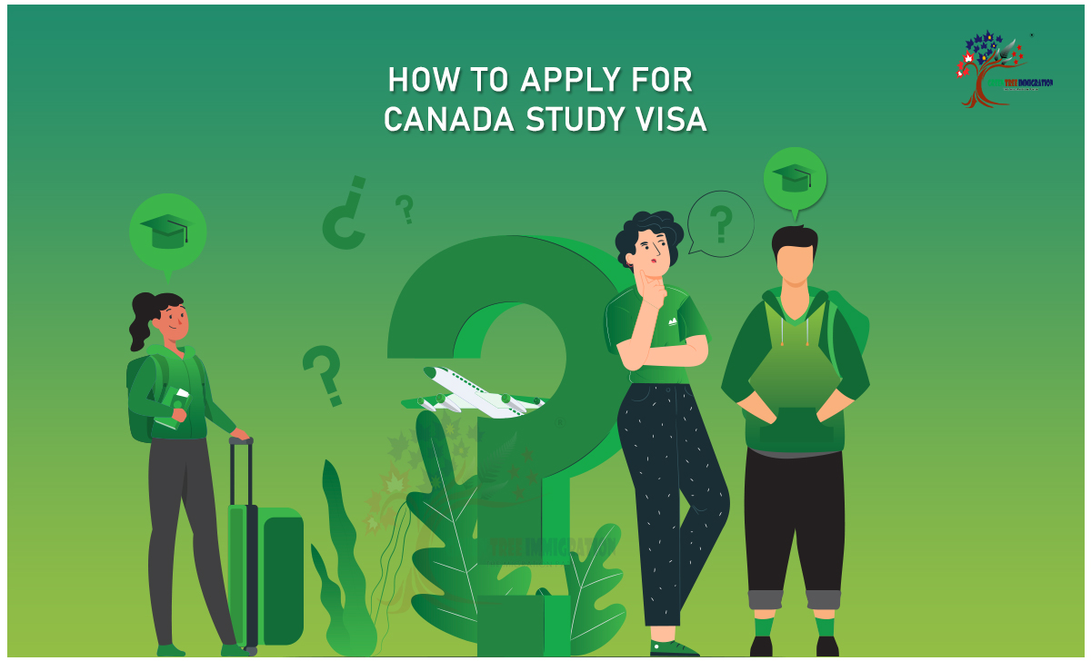how to apply for study visa