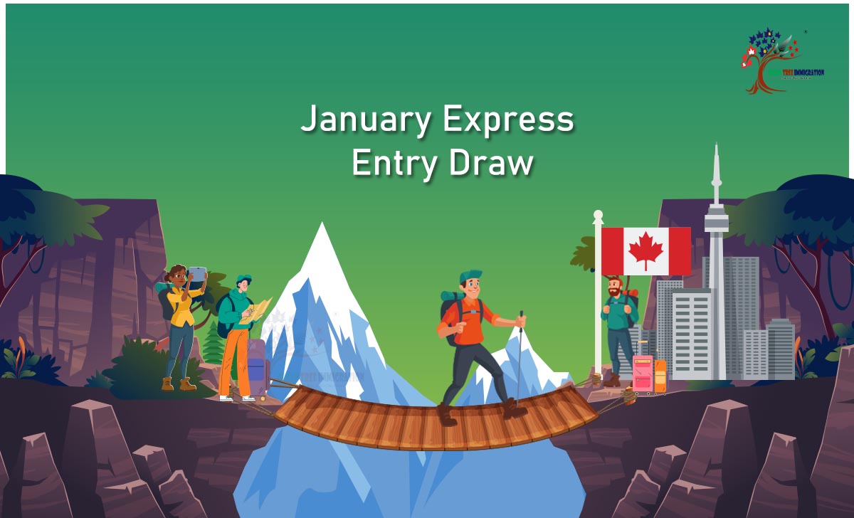 January Express Entry draws