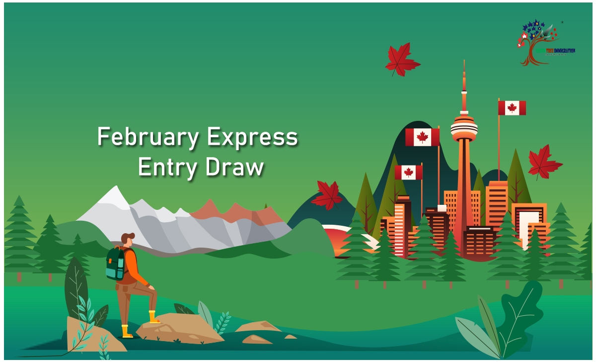 February Express Entry draws